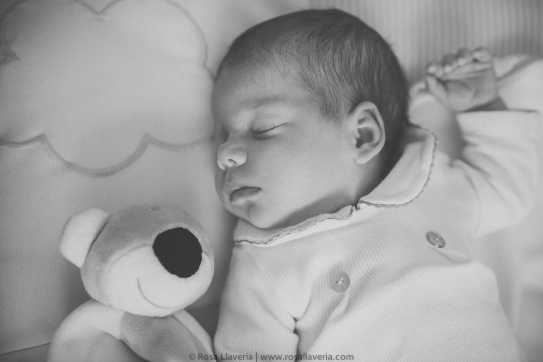 lifestyle©rosallaveria027