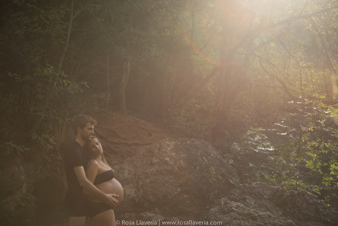 embars©rosallaveria004