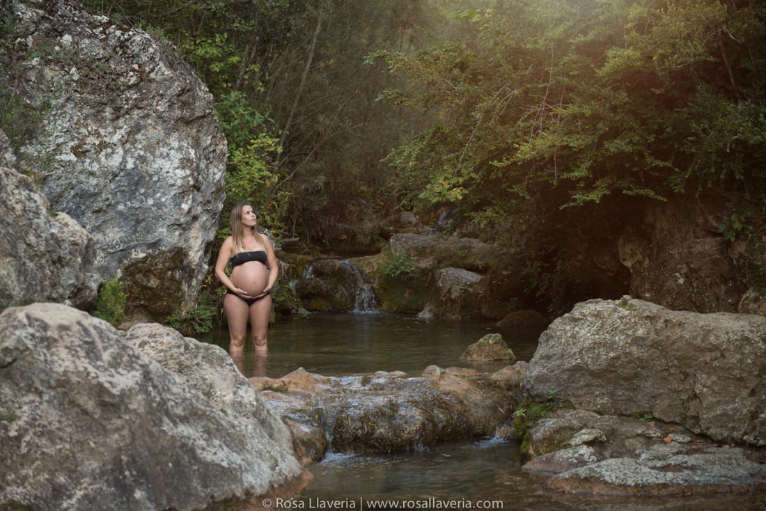 embars©rosallaveria010