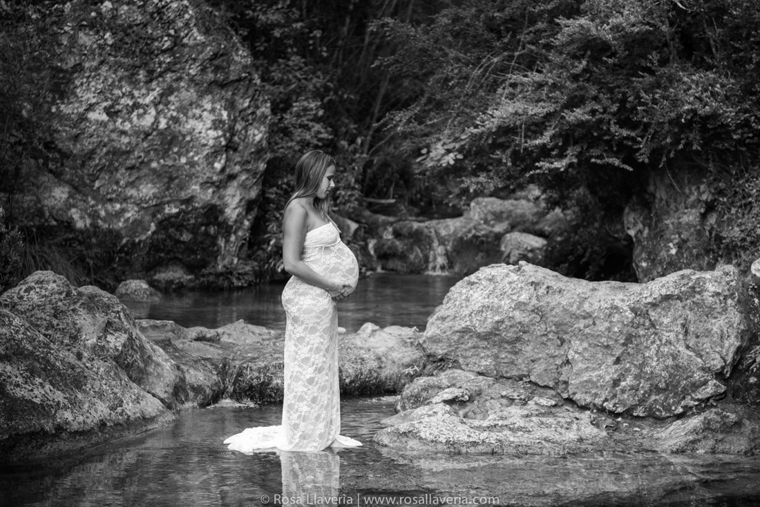 embars©rosallaveria015