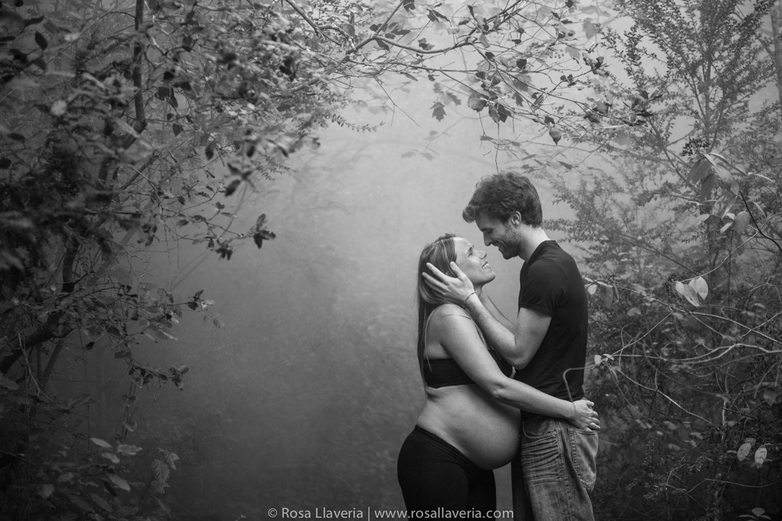 embars©rosallaveria016