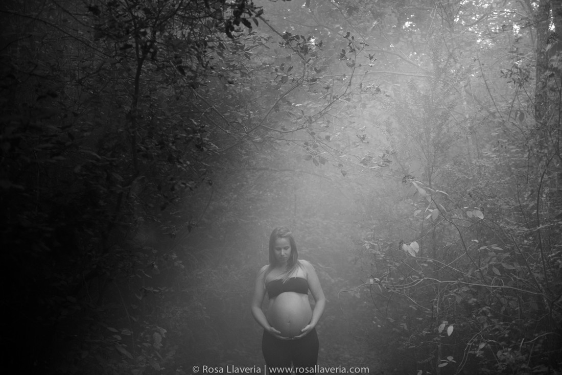 embars©rosallaveria018