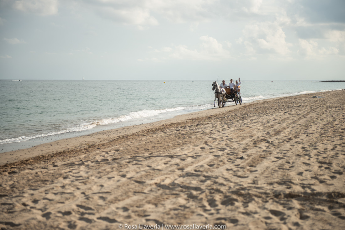 BodaJ&D©rosallaveria028