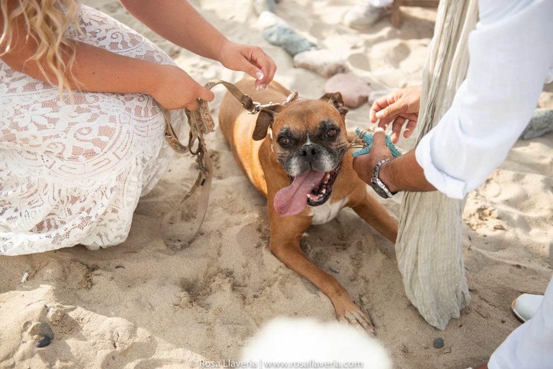 BodaJ&D©rosallaveria039