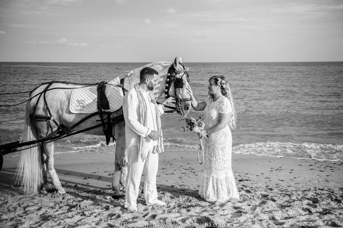 BodaJ&D©rosallaveria053-2