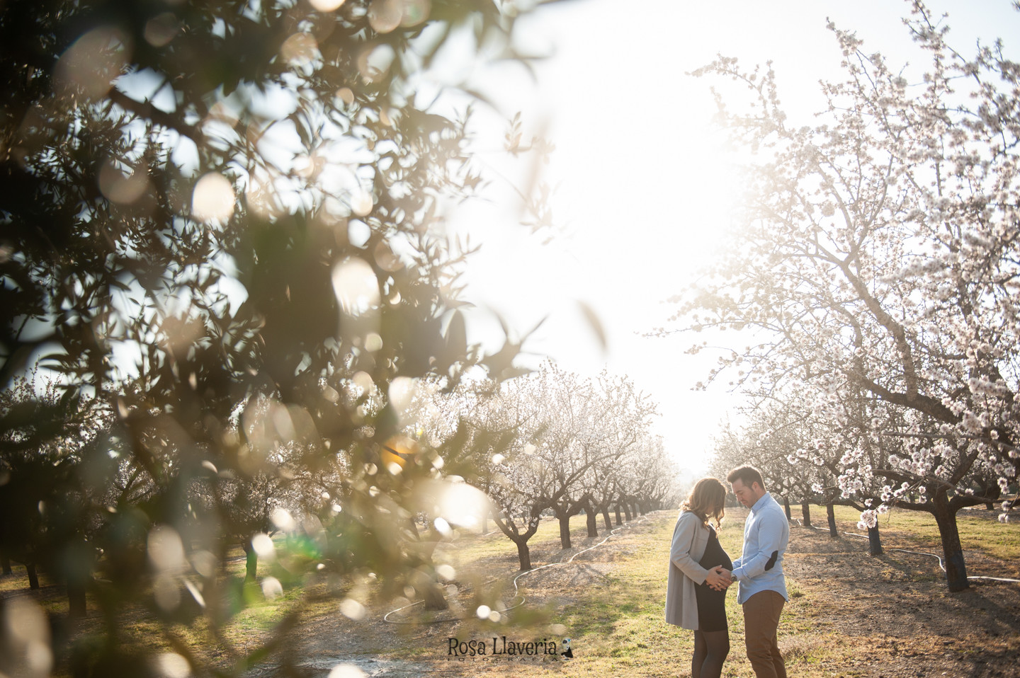 sesion embarazo almendros_Rosa Llaveria_013